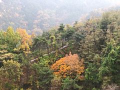 -沂蒙山旅游区云蒙景区(蒙山国家森林公园)