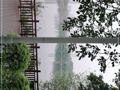 -广东花都湖国家湿地公园