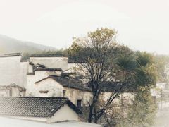 -塔川景区