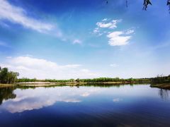 -东郊湿地公园