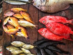 景点-尼甘布海鲜市场