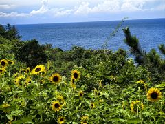 -南紀白浜 浜千鳥の湯 海舟