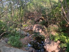 -云岫谷游猎自然风景区