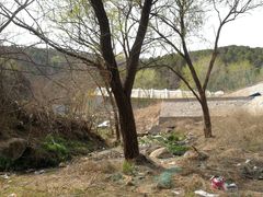 -白水寺森林公园
