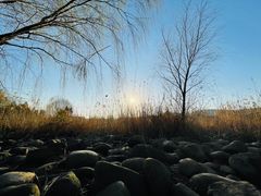 -长广溪湿地公园