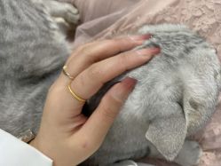 -星辰·新中式美甲美睫工作室
