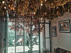 大堂-喵屿·大理花园猫咖