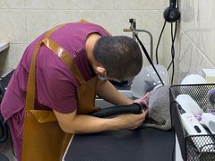 -美联众合动物医院·24h京西诊疗中心