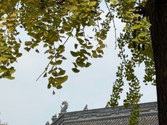 -大妙火锅·非物质文化遗产(东湖公园店)