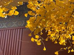 -承恩寺