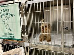 -美联众合动物医院·24h京西诊疗中心