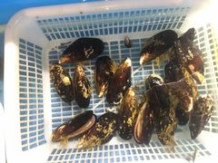 -小城故事·地道宁波味(月湖盛园店)