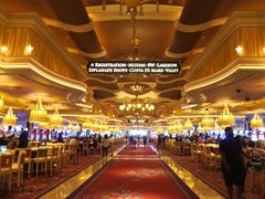 -拉斯维加斯永利酒店