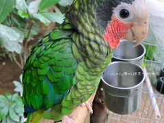 -南宫五洲植物乐园