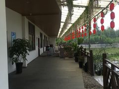 -成都美盈都市现代农业示范园