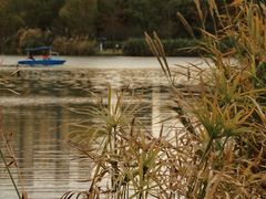 -昆山城市生态森林公园