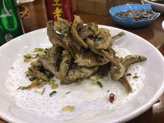 -全乐鱼馆·淳牌有机鱼直营店