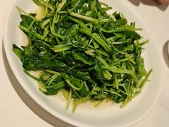 -金春禧(英雄山路旗舰店)