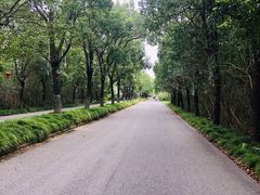 -上海海湾国家森林公园