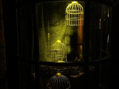 -极限PLAY运动娱乐新世界·团建派对潮玩休闲馆·室内蹦极高空游乐园
