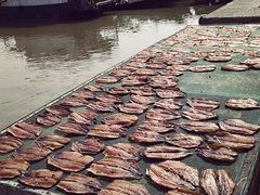 -南沙十九涌渔人码头-南门