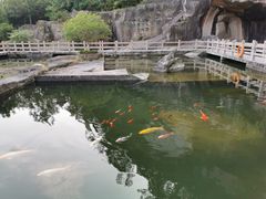 -蛇蟠岛