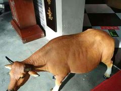 -牛郎记潮汕牛肉火锅(大西洋银泰城店)