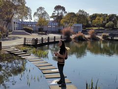 -上海吴淞炮台湾国家湿地公园