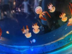 -中央电视塔旋转餐厅