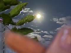 -瓦库茶馆17号(海汇港店)