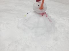 -Mr·Kuma酷么先生雪之乐园