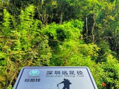 -东部华侨城