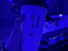 -碧涛阁·泡泡海洋·汤泉洗浴(王府花园店)