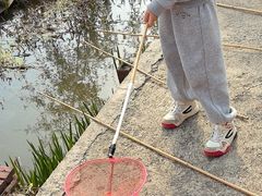 -同銮特种养殖场·龙虾垂钓