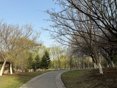 -莫子山公园