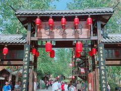 -合肥滨湖国家森林公园