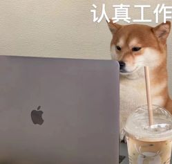 -D5季美容SPA