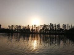 -洋湖国家湿地公园