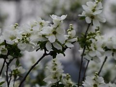 -木兰云雾山