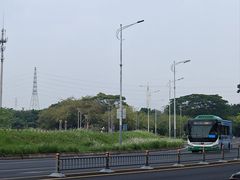 -王借岗森林公园