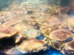 -盒马鲜生(悦峰店)