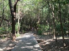 -紫金山山顶公园