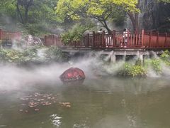 -桃花岛风景旅游区