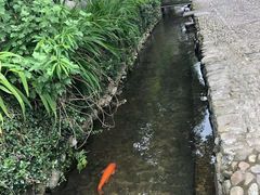 -前童古镇