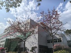 -攀枝花公园