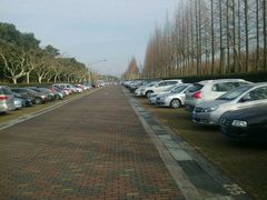 -东方绿舟宾馆·停车场