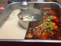 -新辣道鱼火锅(龙旗广场店)