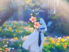 -名花谷生态庄园