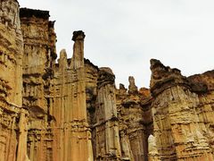 -元谋土林景区(物茂土林)