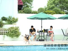 -汪说喵讲宠物乐园宠物酒店(红星美凯龙店)